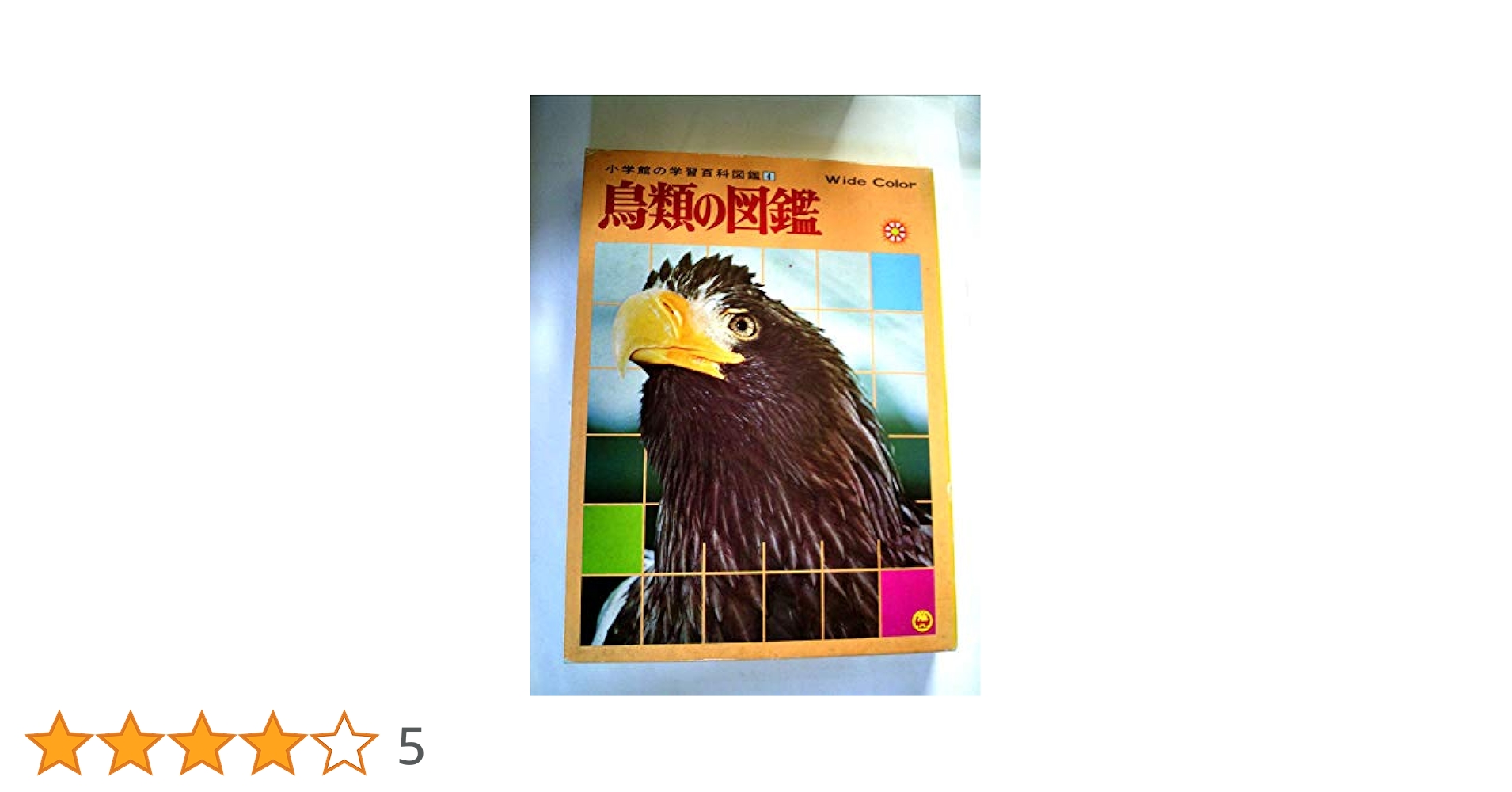 鳥類学 鳥 (小学館の図鑑 NEOポケット) | 柚木 修, 上田 恵介, 水谷 高